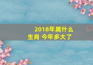 2018年属什么生肖 今年多大了